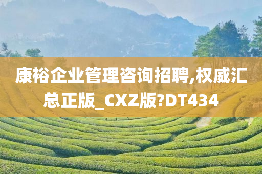 康裕企业管理咨询招聘,权威汇总正版_CXZ版?DT434