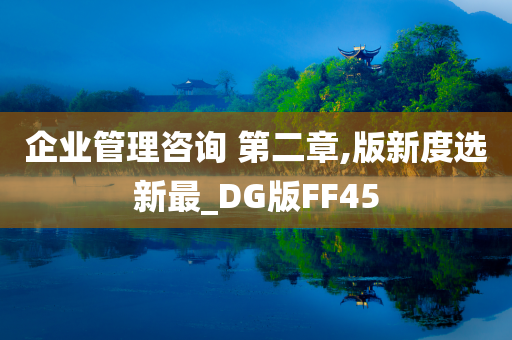 企业管理咨询 第二章,版新度选新最_DG版FF45