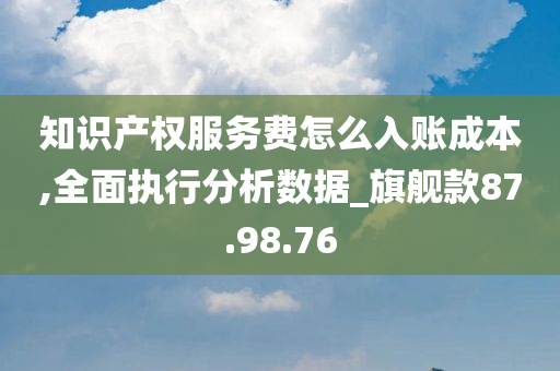 知识产权服务费怎么入账成本,全面执行分析数据_旗舰款87.98.76