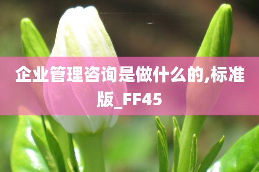 企业管理咨询是做什么的,标准版_FF45