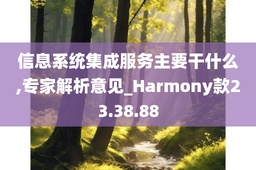 信息系统集成服务主要干什么,专家解析意见_Harmony款23.38.88