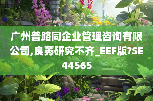 广州普路同企业管理咨询有限公司,良莠研究不齐_EEF版?SE44565