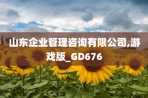 山东企业管理咨询有限公司,游戏版_GD676