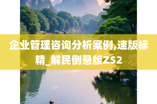 企业管理咨询分析案例,速版标精_解民倒悬版ZS2