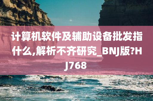 计算机软件及辅助设备批发指什么,解析不齐研究_BNJ版?HJ768