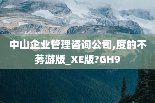 中山企业管理咨询公司,度的不莠游版_XE版?GH9