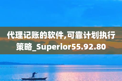 代理记账的软件,可靠计划执行策略_Superior55.92.80