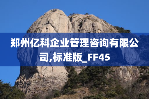 郑州亿科企业管理咨询有限公司,标准版_FF45