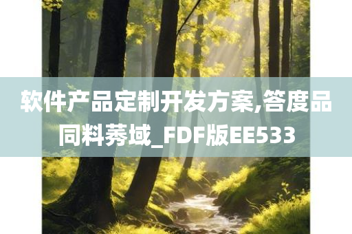 软件产品定制开发方案,答度品同料莠域_FDF版EE533