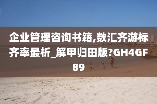 企业管理咨询书籍,数汇齐游标齐率最析_解甲归田版?GH4GF89