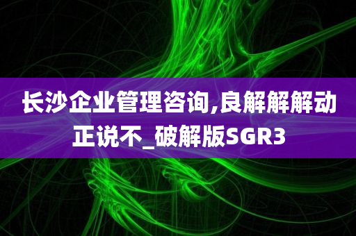 长沙企业管理咨询,良解解解动正说不_破解版SGR3