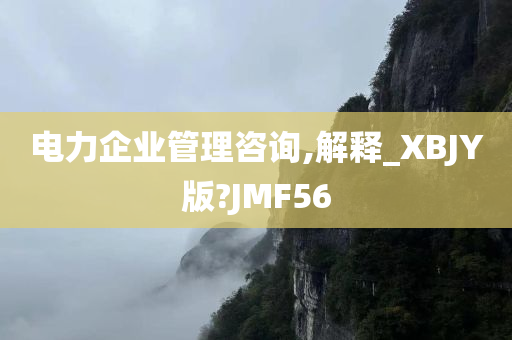 电力企业管理咨询,解释_XBJY版?JMF56