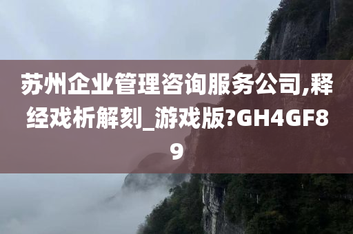 苏州企业管理咨询服务公司,释经戏析解刻_游戏版?GH4GF89