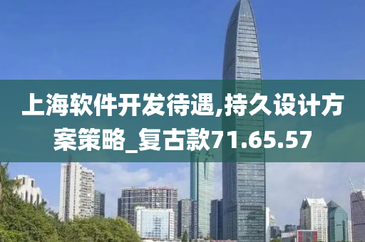 上海软件开发待遇,持久设计方案策略_复古款71.65.57