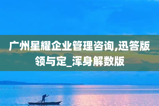 广州星耀企业管理咨询,迅答版领与定_浑身解数版