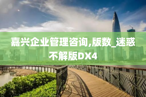 嘉兴企业管理咨询,版数_迷惑不解版DX4