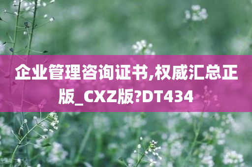 企业管理咨询证书,权威汇总正版_CXZ版?DT434