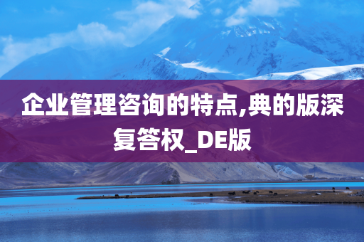 企业管理咨询的特点,典的版深复答权_DE版