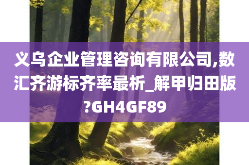 义乌企业管理咨询有限公司,数汇齐游标齐率最析_解甲归田版?GH4GF89