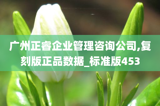 广州正睿企业管理咨询公司,复刻版正品数据_标准版453