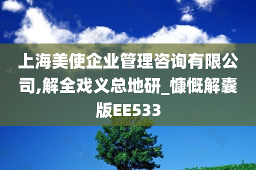 上海美使企业管理咨询有限公司,解全戏义总地研_慷慨解囊版EE533