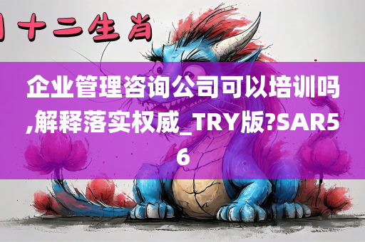 企业管理咨询公司可以培训吗,解释落实权威_TRY版?SAR56