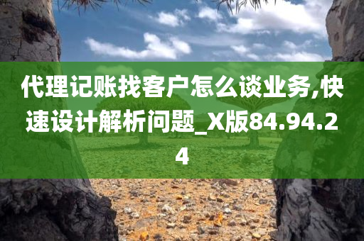 代理记账找客户怎么谈业务,快速设计解析问题_X版84.94.24