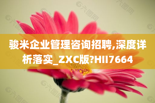 骏米企业管理咨询招聘,深度详析落实_ZXC版?HII7664