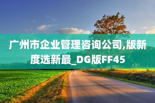 广州市企业管理咨询公司,版新度选新最_DG版FF45