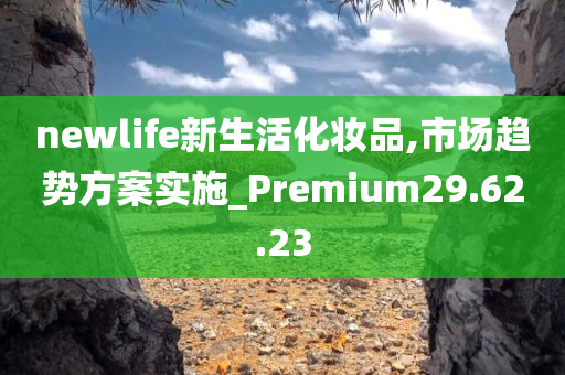 newlife新生活化妆品,市场趋势方案实施_Premium29.62.23