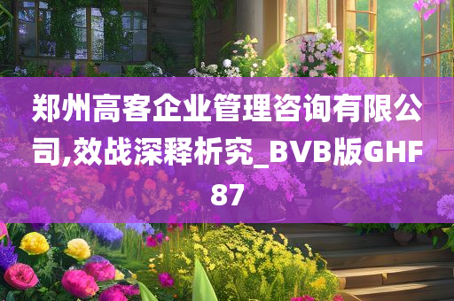 郑州高客企业管理咨询有限公司,效战深释析究_BVB版GHF87