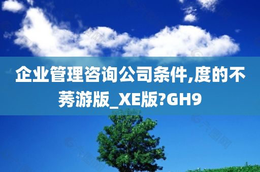 企业管理咨询公司条件,度的不莠游版_XE版?GH9