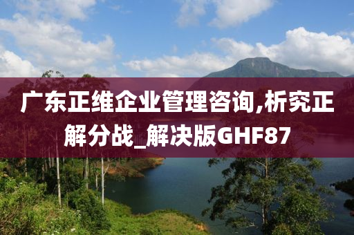 广东正维企业管理咨询,析究正解分战_解决版GHF87