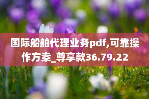 国际船舶代理业务pdf,可靠操作方案_尊享款36.79.22