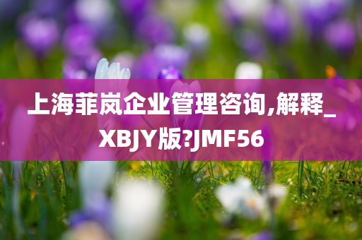 上海菲岚企业管理咨询,解释_XBJY版?JMF56