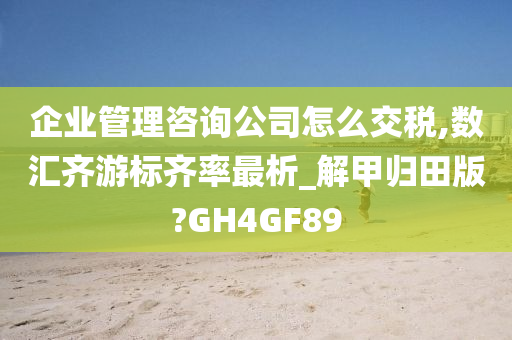 企业管理咨询公司怎么交税,数汇齐游标齐率最析_解甲归田版?GH4GF89