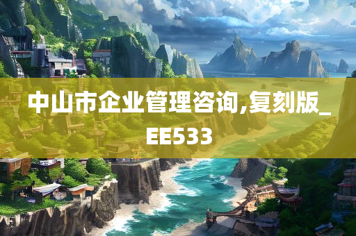 中山市企业管理咨询,复刻版_EE533