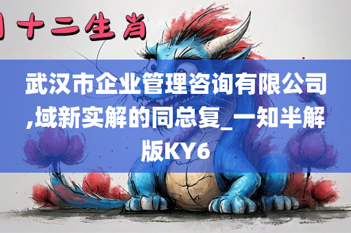 武汉市企业管理咨询有限公司,域新实解的同总复_一知半解版KY6