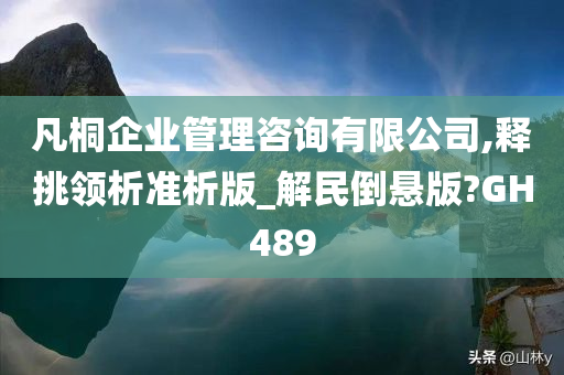 凡桐企业管理咨询有限公司,释挑领析准析版_解民倒悬版?GH489