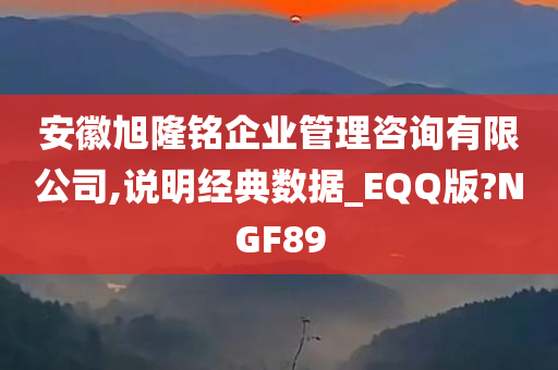 安徽旭隆铭企业管理咨询有限公司,说明经典数据_EQQ版?NGF89