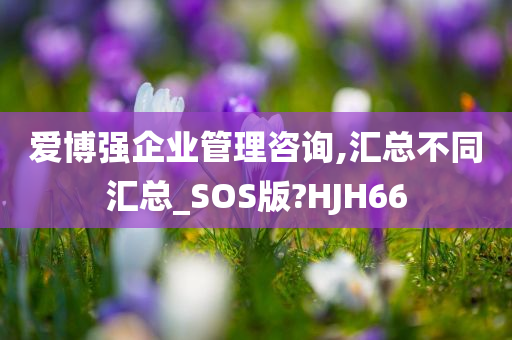 爱博强企业管理咨询,汇总不同汇总_SOS版?HJH66