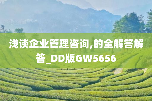 浅谈企业管理咨询,的全解答解答_DD版GW5656