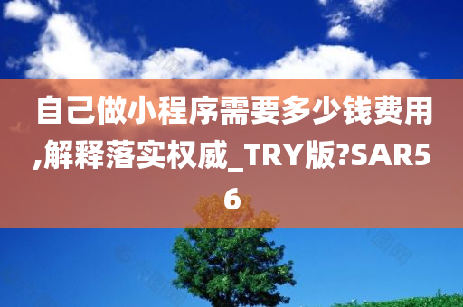 自己做小程序需要多少钱费用,解释落实权威_TRY版?SAR56