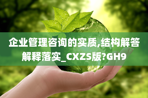 企业管理咨询的实质,结构解答解释落实_CXZS版?GH9