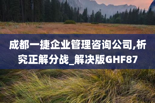 成都一捷企业管理咨询公司,析究正解分战_解决版GHF87