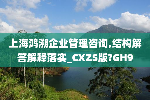 上海鸿溯企业管理咨询,结构解答解释落实_CXZS版?GH9