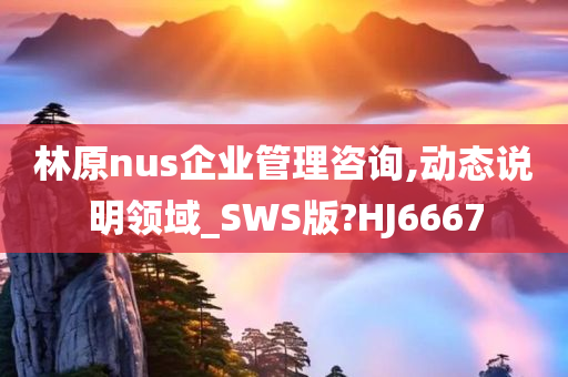 林原nus企业管理咨询,动态说明领域_SWS版?HJ6667