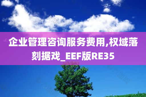 企业管理咨询服务费用,权域落刻据戏_EEF版RE35