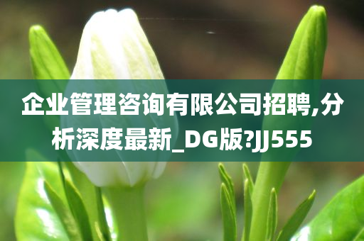 企业管理咨询有限公司招聘,分析深度最新_DG版?JJ555