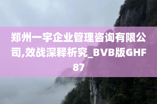 郑州一宇企业管理咨询有限公司,效战深释析究_BVB版GHF87